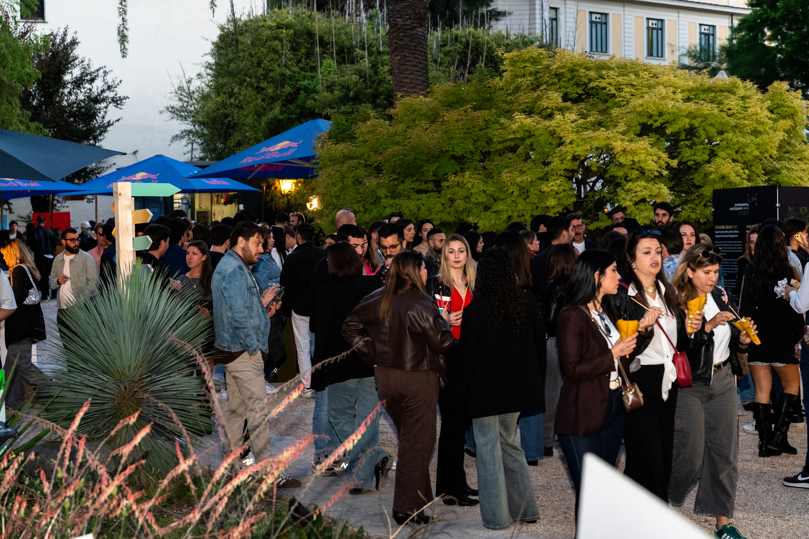 Immagine evento