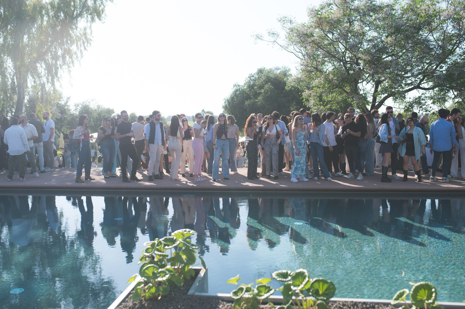 Immagine Evento