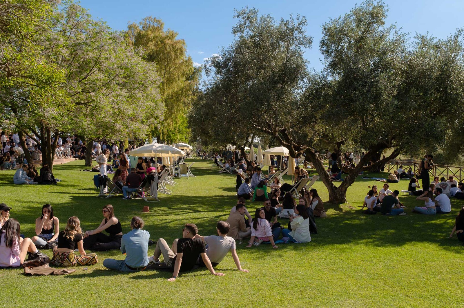 Immagine evento