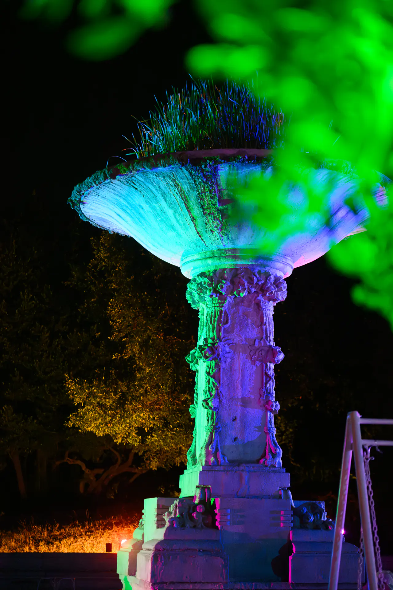 Immagine evento