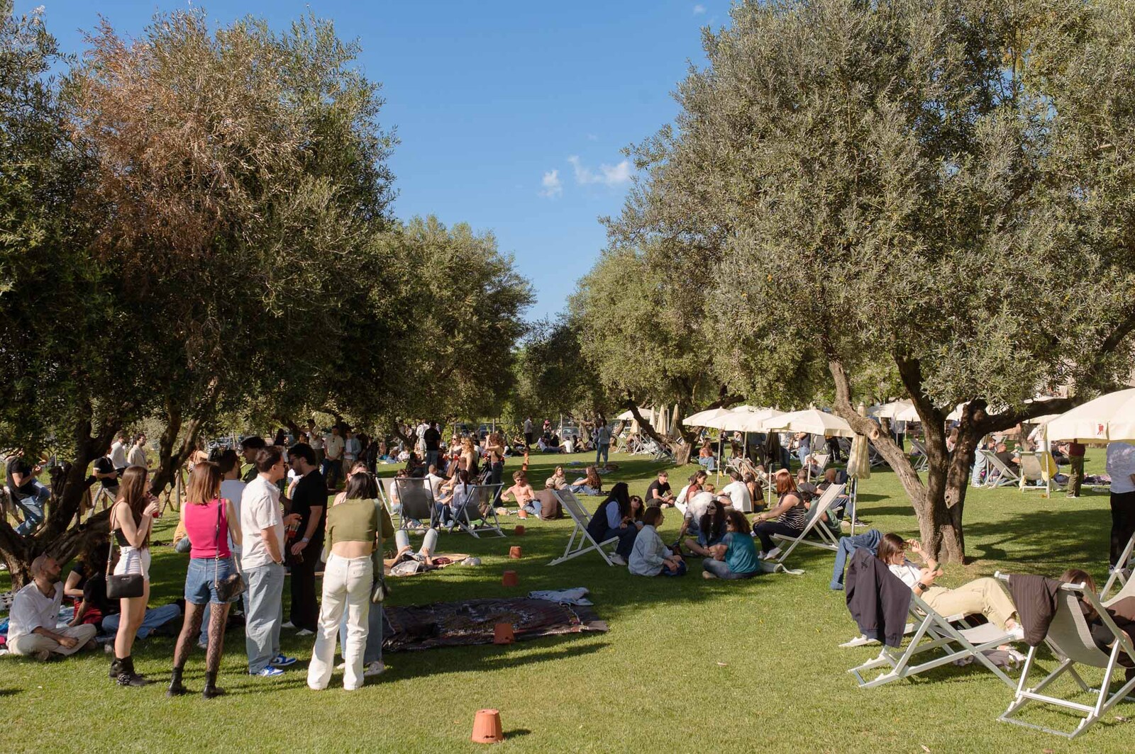 Immagine evento