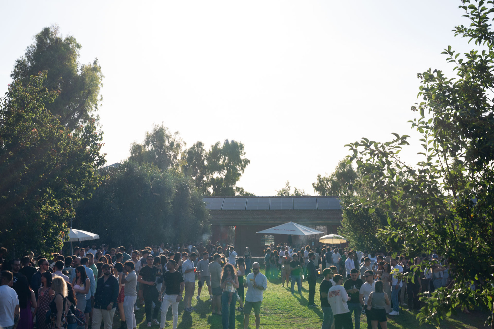 Immagine Evento