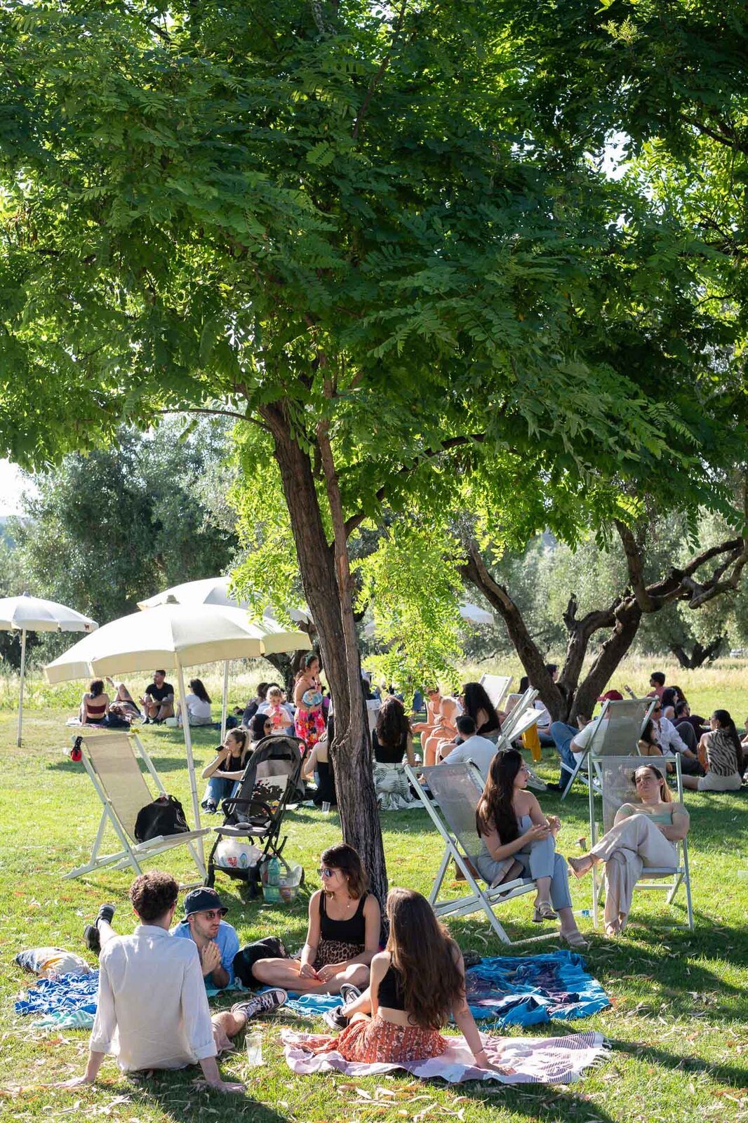 Immagine Evento