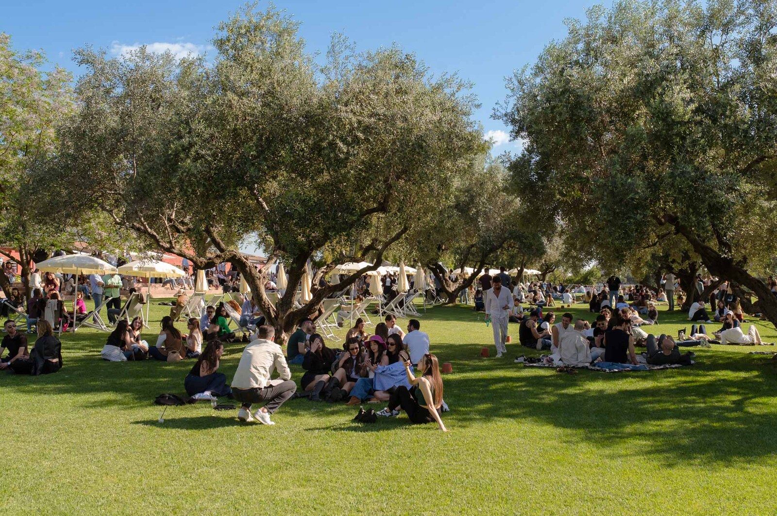 Immagine evento